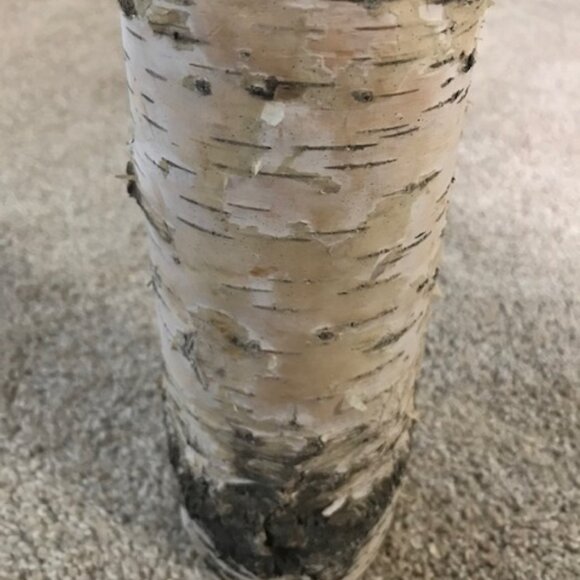 NEW BIRCH BARK BATTERY OPERATED FLAMELESS CANDLE. 8"Hx3"W - Picture 2 of 2